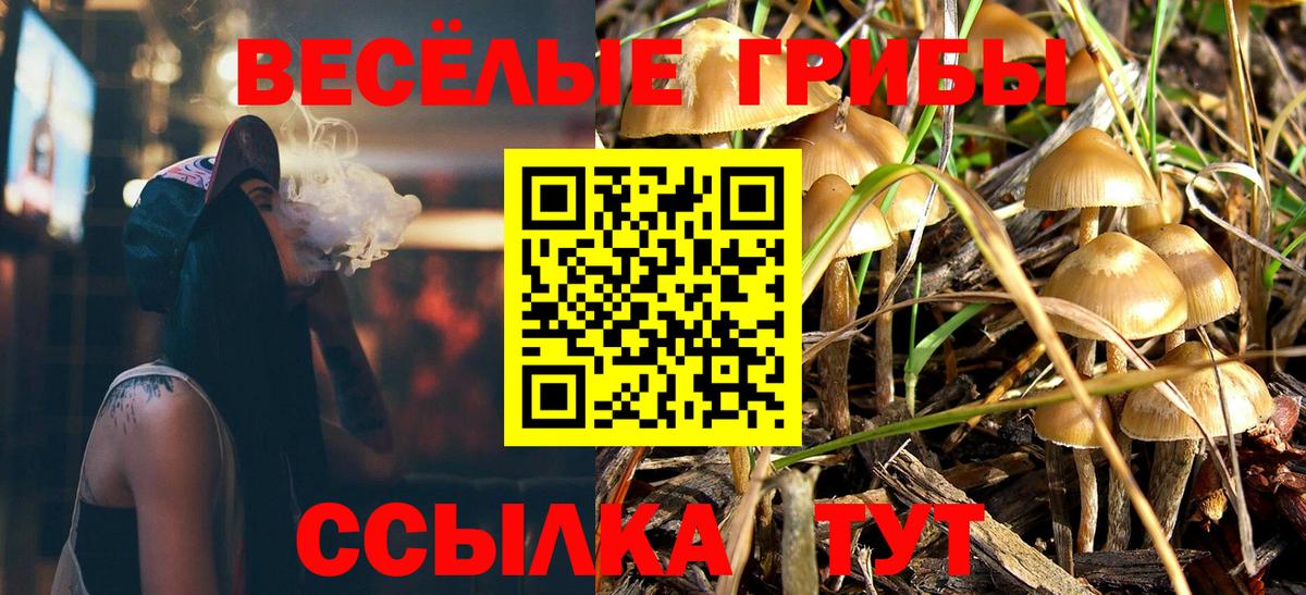 Галлюциногенные грибы Cubensis  Галлюциногенные грибы мицелий  Вход с VPN  Гудермес 