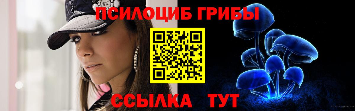 Галлюциногенные грибы MAGIC MUSHROOMS Гудермес